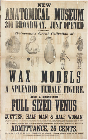 Anatomical Museum of New York. New Anatomical Museum. [New York]: Jonh [sic] C. Hall, ca. 1848. (Gift of William H. Helfand)